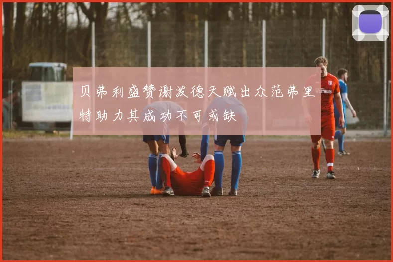 贝弗利盛赞谢泼德天赋出众范弗里特助力其成功不可或缺