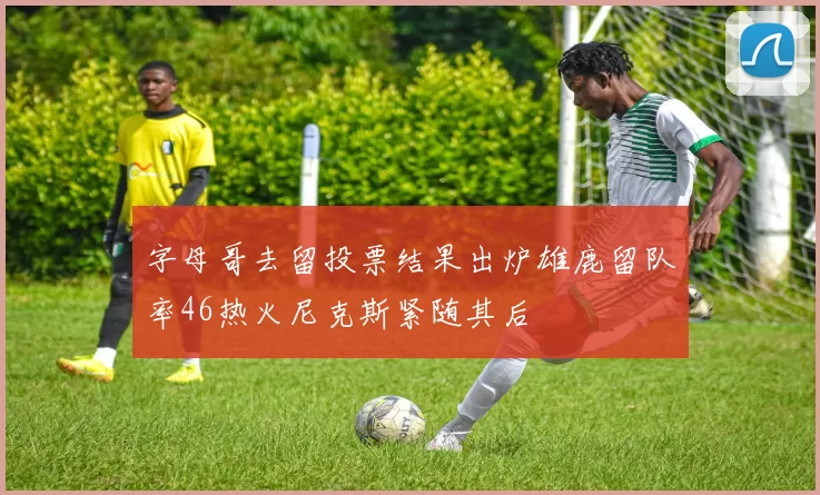 字母哥去留投票结果出炉雄鹿留队率46热火尼克斯紧随其后